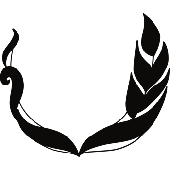 black circle frame. Wreath ring border. Isolated with transparent background png