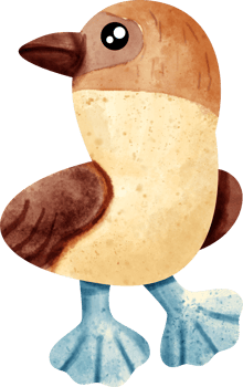 watercolor animal booby bird png