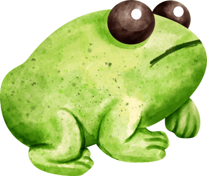 watercolor animal frog png