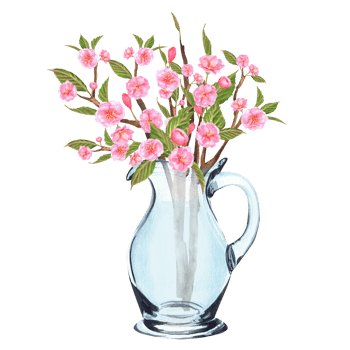 Hand-drawn watercolor illustration. Glass jug with sakura branches png