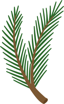 pine branch illustration cartoon png