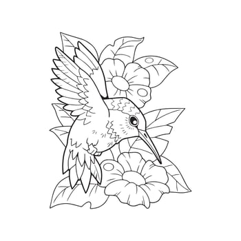 hummingbirds coloring pages vector