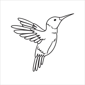 hummingbirds coloring pages vector