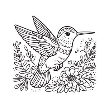 hummingbirds coloring pages vector
