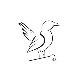 bird logo, bird template, bird design outline style vector