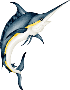 watercolor sea animal swordfish png