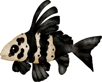 watercolor sea animal sea fish png