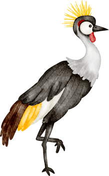 crane bird clip art png