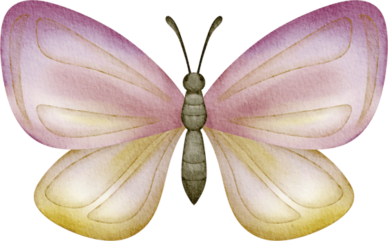 watercolor pink butterfly png