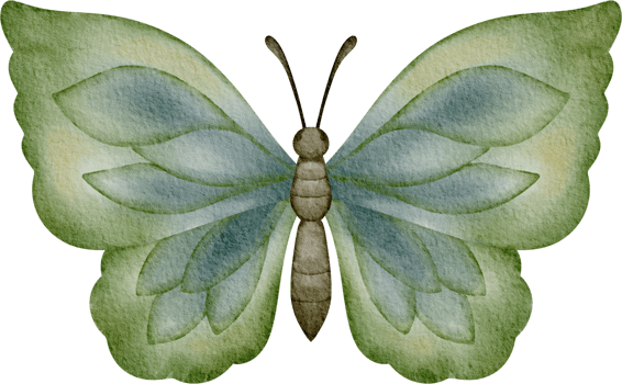 watercolor green butterfly png