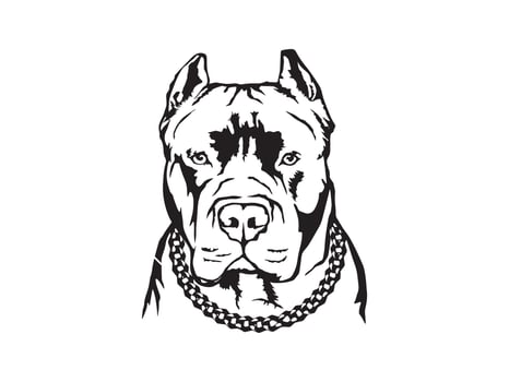 vintage standing pitbull silhouette vector
