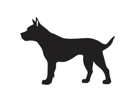 pitbull silhouette of a dog standing vector