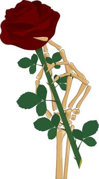 Skeleton hand holding red rose flower vector illustration