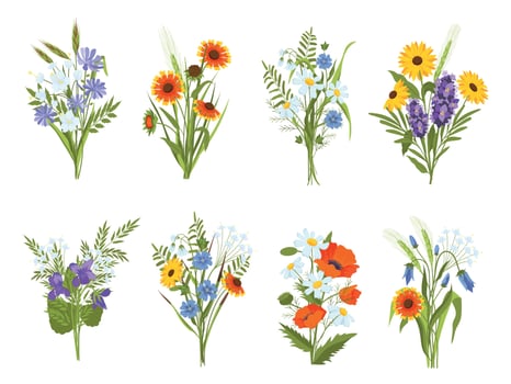 Blossom bouquets with garden and meadow wild flowers and herbs. Beautiful summer field wildflowers, daisy, sunflower and poppy vector set