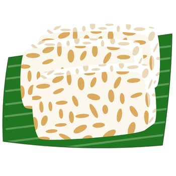 Tempeh indonesian food vector