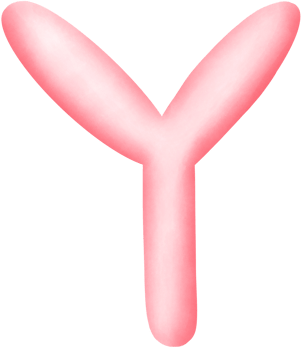 English alphabet Y png