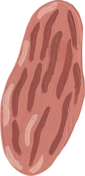 cute fruit date palm png