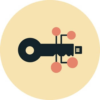 digital key Vector Icon