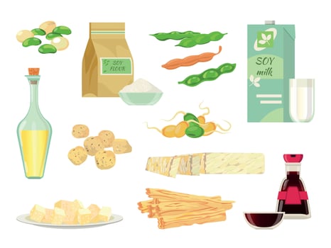 Cartoon soy food, beans, oil, milk, sauce and tofu. Healthy green sprouts, pods, soy meat, flour and tempeh. Vegan soya products vector set