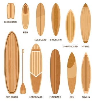 Wooden surfboard sizes and types, bodyboard, longboards and shortboards. Cartoon surf boards shapes design, funboard and hybrid vector set