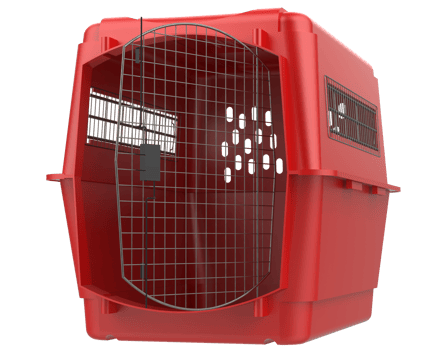 Pet cage isolated on background. 3d rendering - illustration png