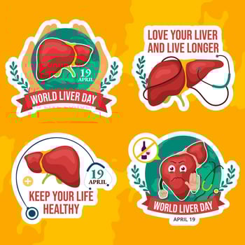 Liver Day Label Flat Cartoon Hand Drawn Templates Background Illustration vector