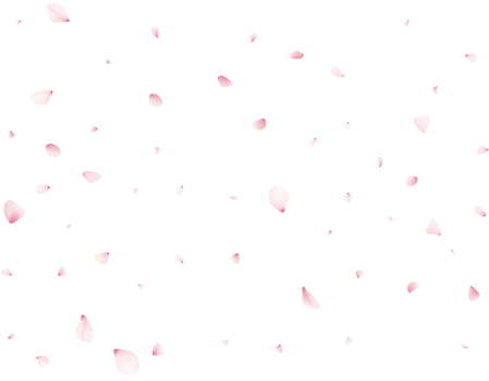 Falling Cherrty Petals png