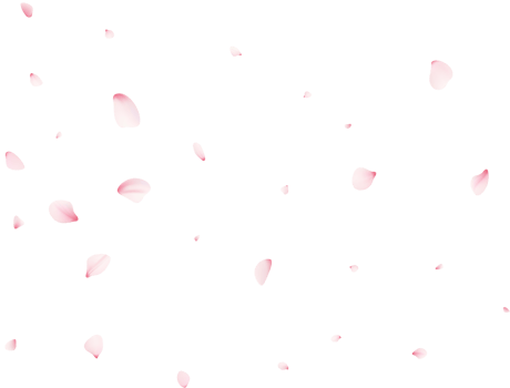Falling Sakura Petals png