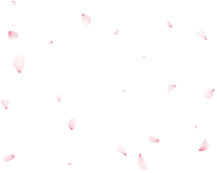 Falling Sakura Petals png