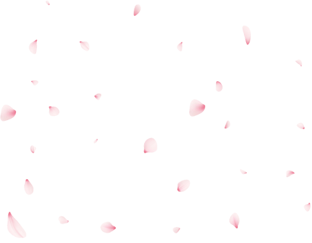Falling Sakura Petals png