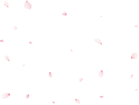Falling Sakura Petals png