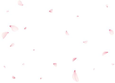 Falling Sakura Petals png