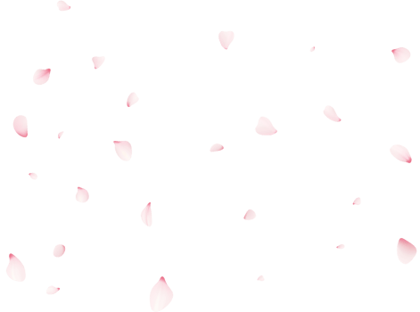 Falling Sakura Petals png