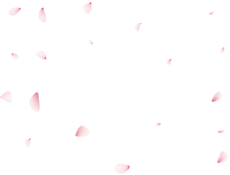 Falling Sakura Petals png