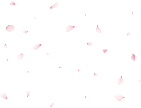 Falling Sakura Petals png