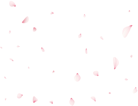 Falling Sakura Petals png