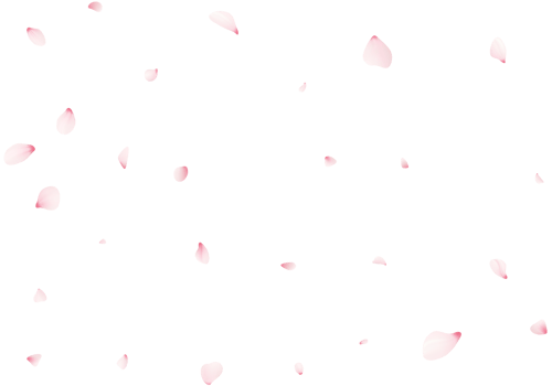 Falling Sakura Petals png