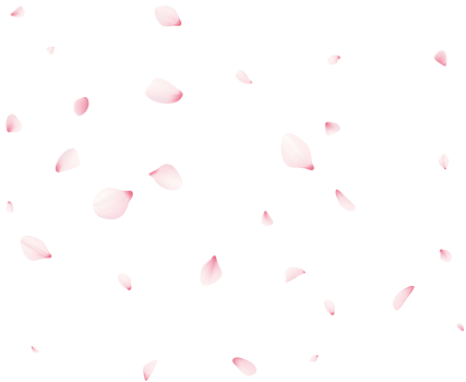 Falling Sakura Petals png