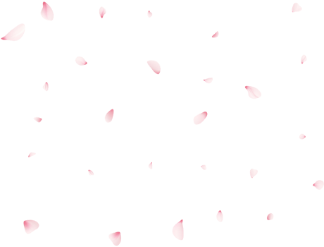 Falling Sakura Petals png