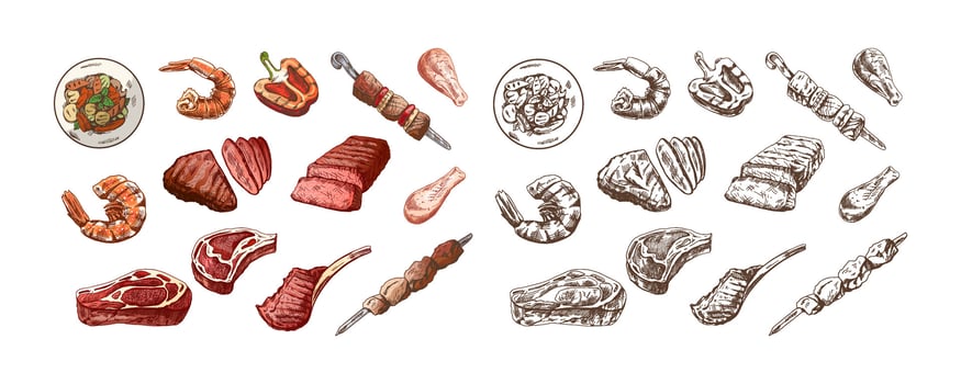 A set of hand-drawn colored and monochrome sketches of different types of meat, steaks, shrimp, chicken, grilled vegetables, barbecue. Vintage illustration. Engraved image. vector