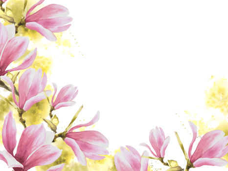 Floral frame, banner Watercolor pink magnolias spring flowers, buds, leaves Hand painted illustration background with green stains, splashes. Wedding invitations, greeting card template png