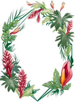 Tropical flower and plant border and frame illustration png
