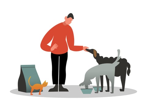 Adult male standing near dogs and cat and feeding them. Volunteer helping animals vector