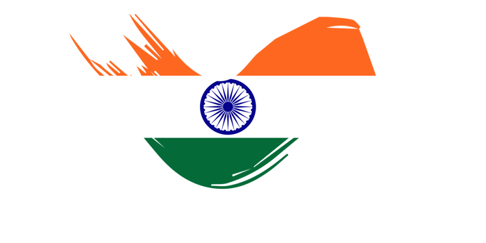 Grunge brush stroke flag of India png