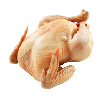 AI generated Whole Chicken Isolated on transparent background png
