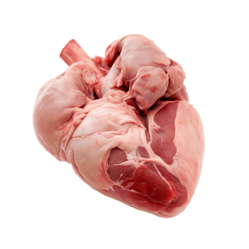 AI generated Heart of Lamb Isolated on transparent background png