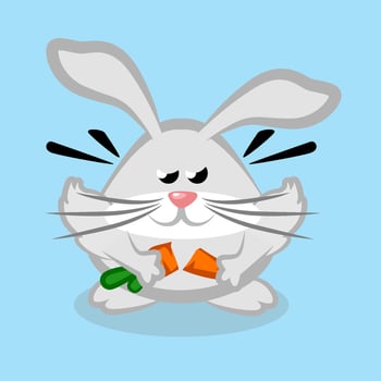 Cute Angry Rabbit Break Carrot. Cartoon Vector Illustration Animal. Flat Cartoon Style.