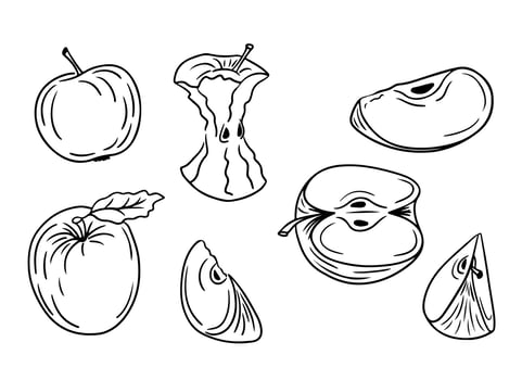 Hand drawn doodle set of apples and pieces. Sketchy black outline full fruit and slices on white background. Ideal for coloring pages, tattoo, pattern vector