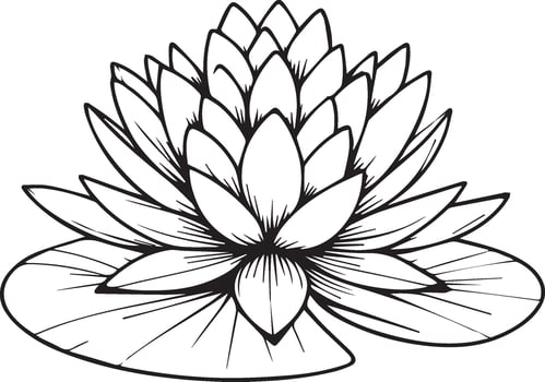 Coloring pages for children, Easy flowers art hand drawing Illustration sketch contour bouquet of artistic waterlily flowers hand drawing pencil art, isolated Realistic flower coloring pages vector