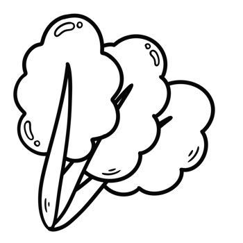 Outline doodle drawing of a bok choy png